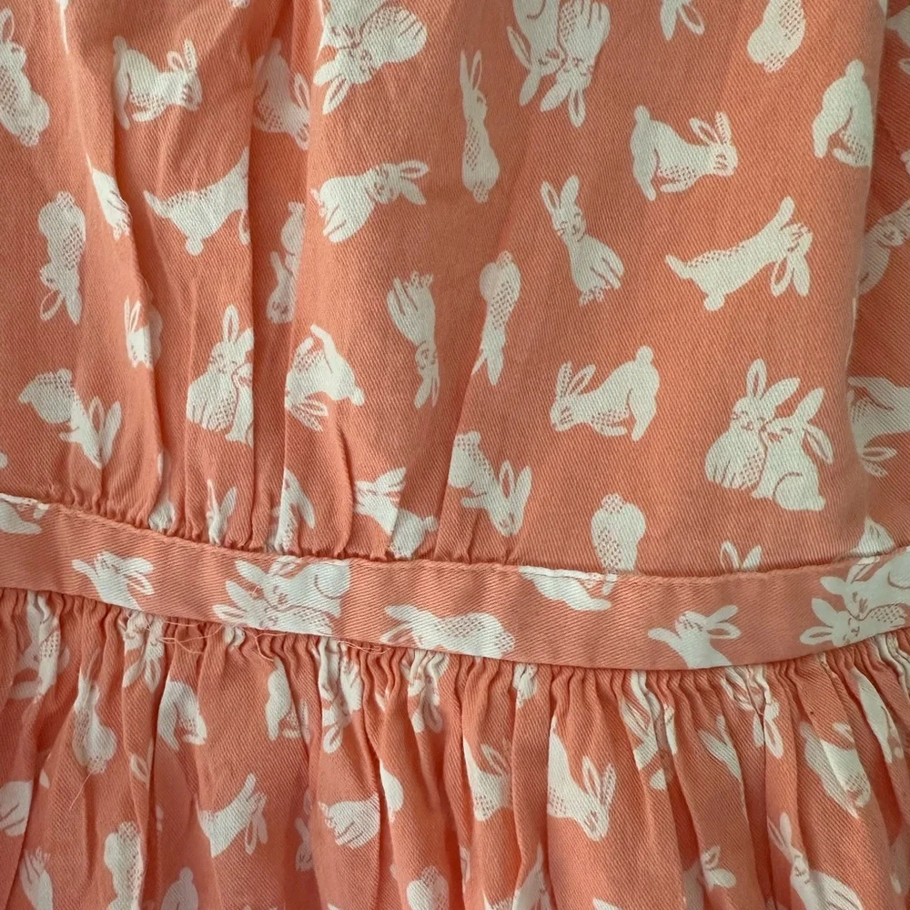 Carter’s Bunny Dress
